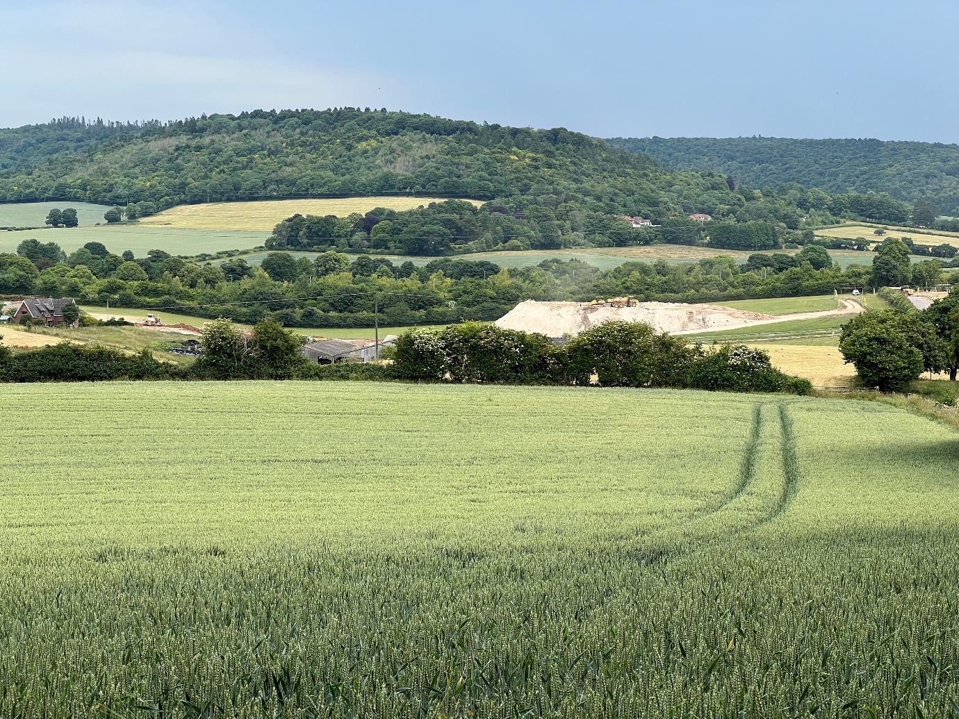 Grove Farm earlier