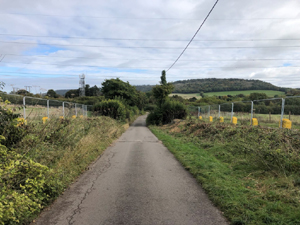 Hedgerow clearance